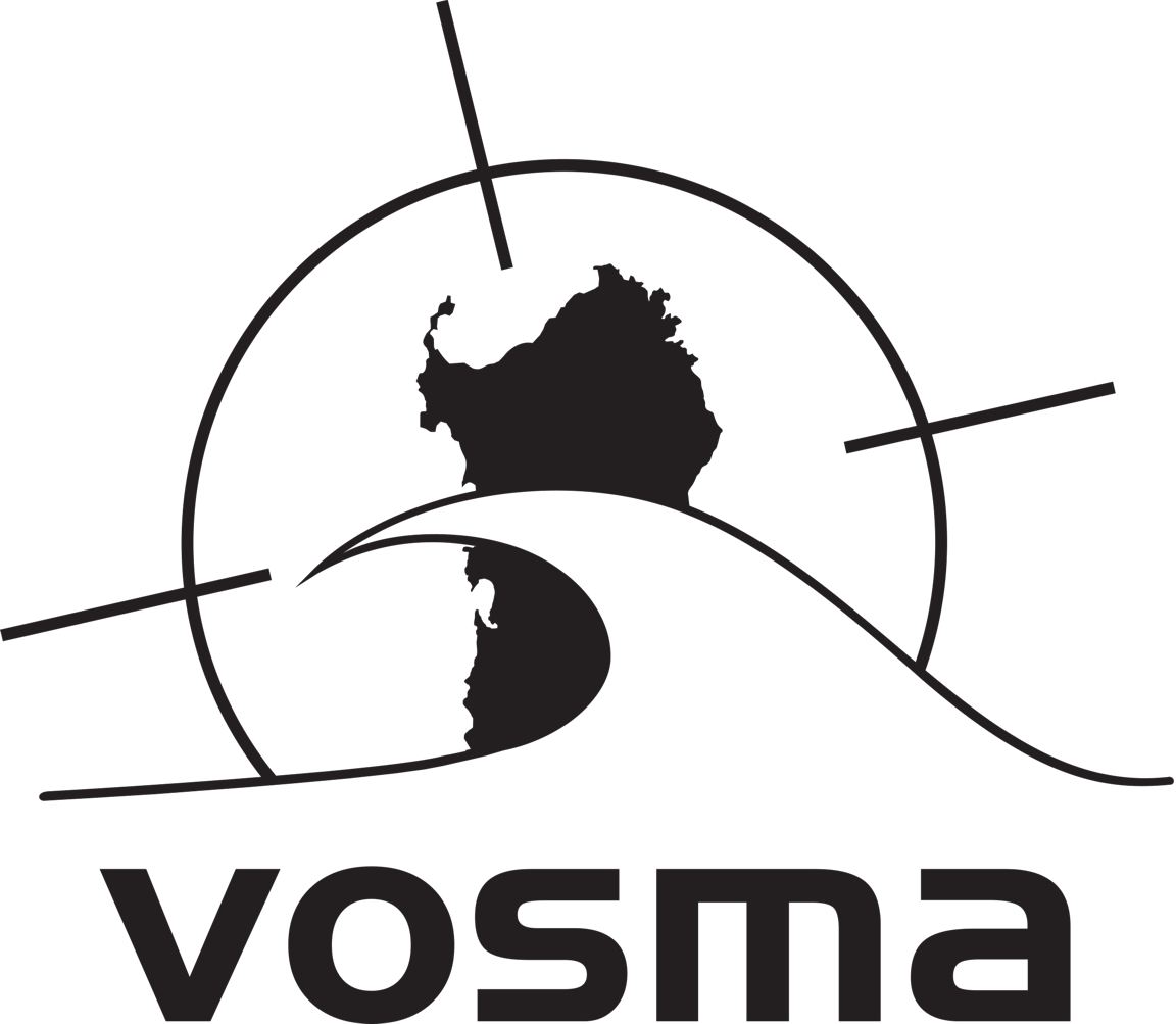 Logo Vosma